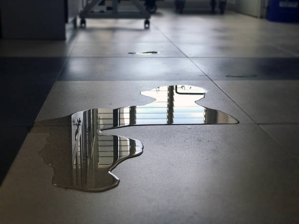 Best Water damage cleanup near me  in Lemont, IL