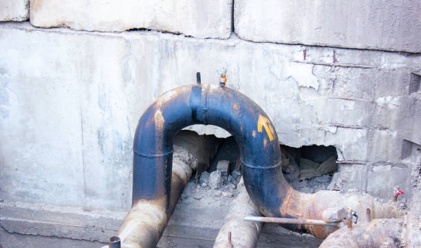 Best Water damage contractors near me  in Lemont, IL