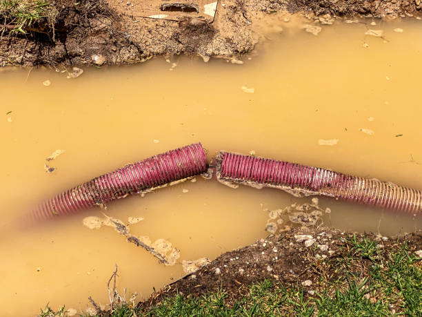 Best Residential water damage restoration  in Lemont, IL